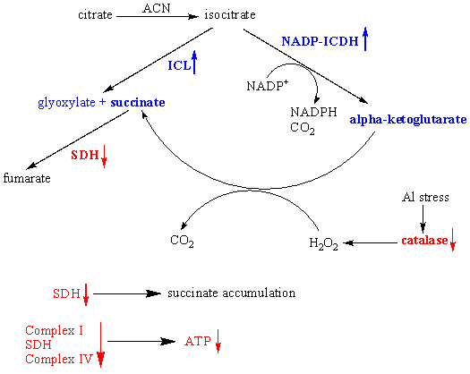 Metal toxicology and energy production