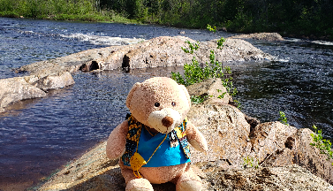 A teddy bear on a rock 