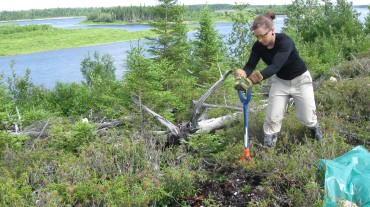 MSc student K. Garrah sampling soils along Attawapiskat River for reference condition study