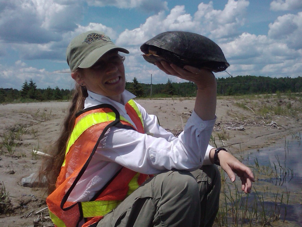 Dr. Jacqueline Litzgus doing field work and holding a turtle in her hand