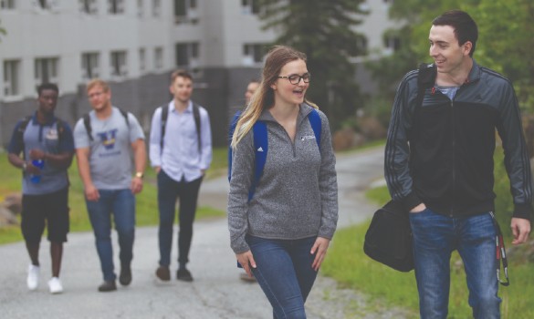 Students walking along a pathway outside