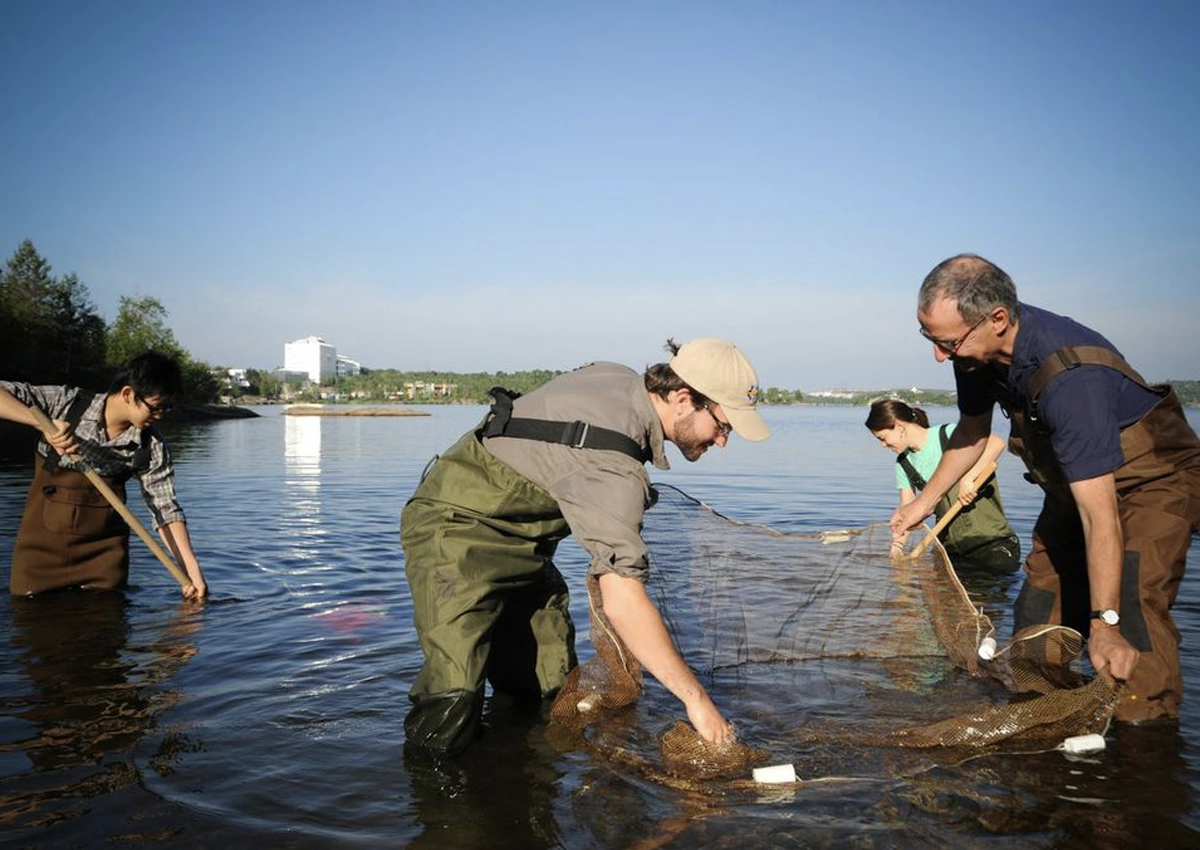 A group of researchers standing knee-deep in a lake with a net.