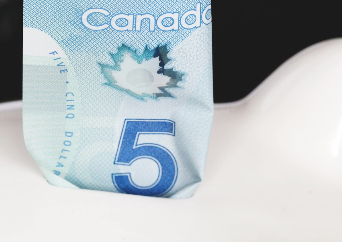 Canadian five dollar bill sticking out the top of a white piggy bank.