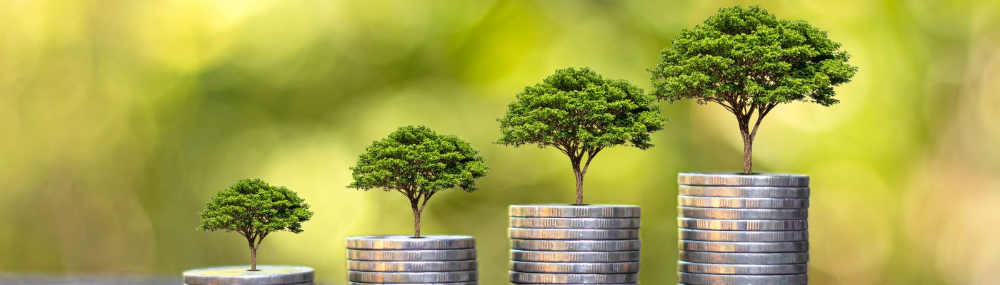 Trees stacked on coins