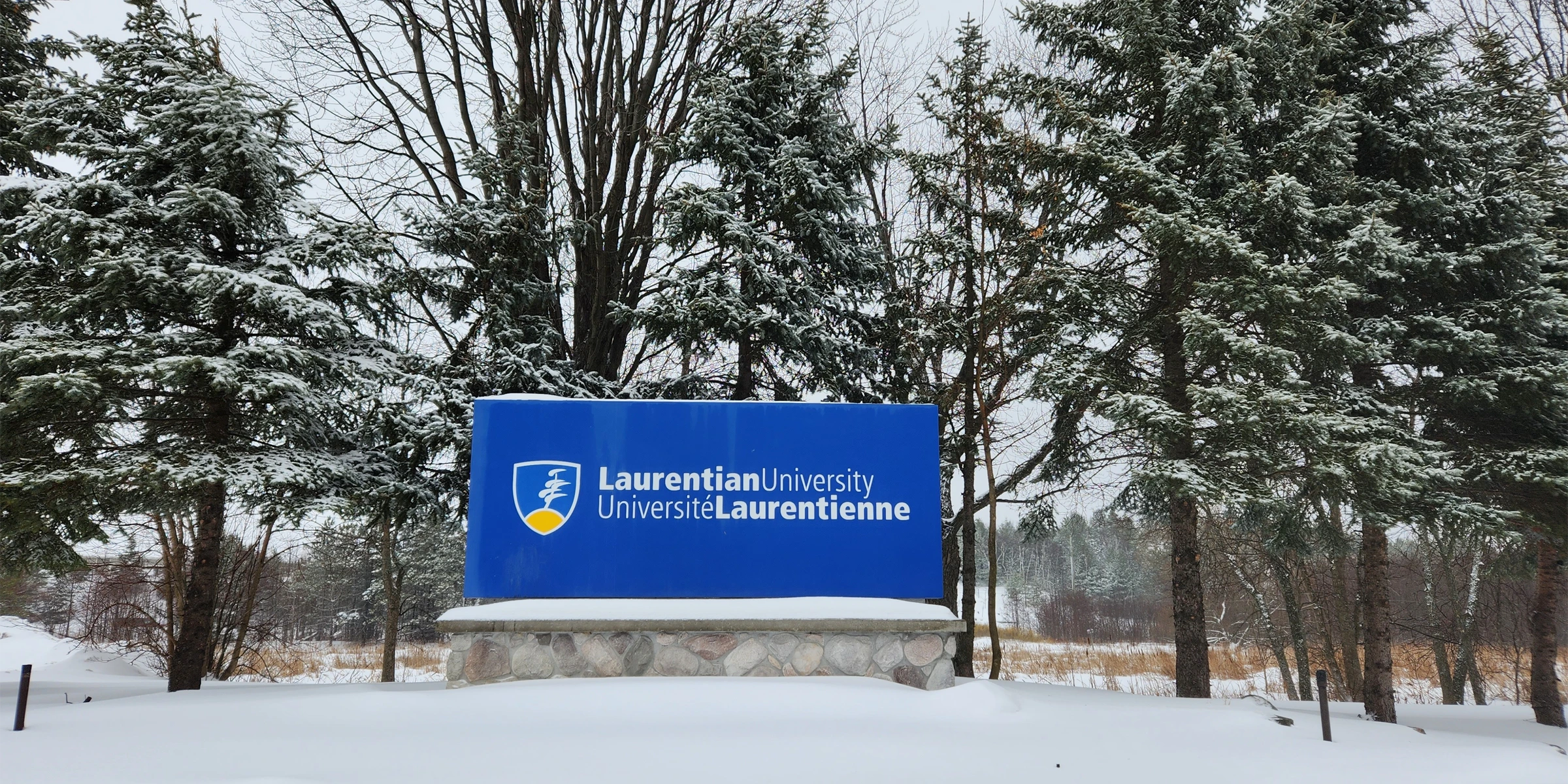 The Laurentian University sign at the entrance to campus, with snow covering the surrounding trees.