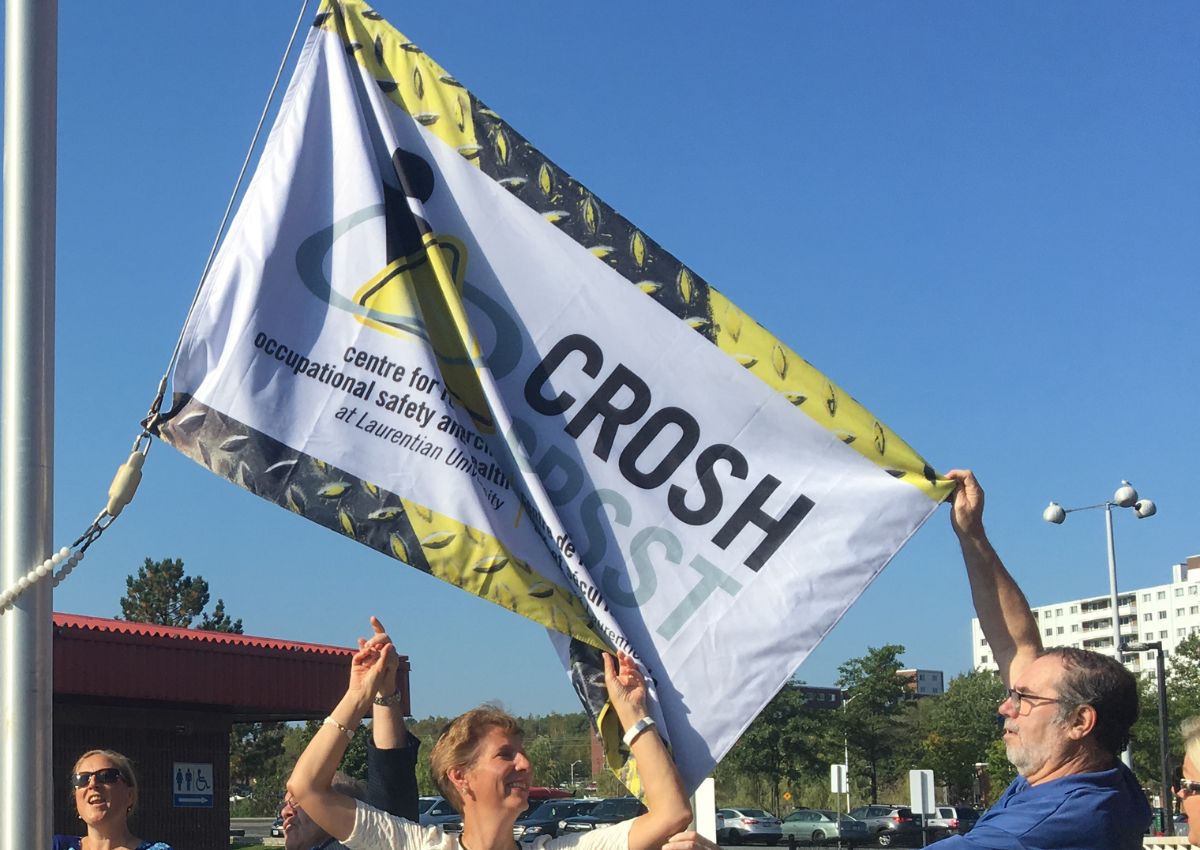 A flag displaying the CROSH logo, featuring bold lettering and a stylized design, flying against a neutral background.