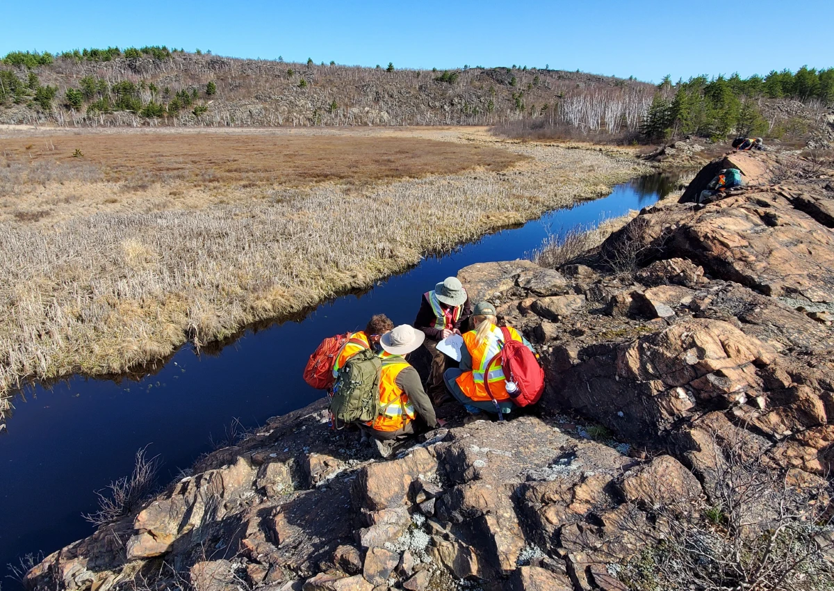 A group of students with a prof doing research on a large rock overlooking a a river and some wetlands.