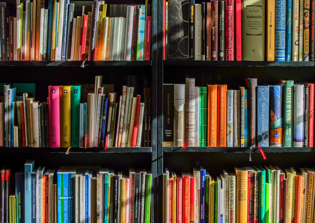 A shelf with a ton of library books