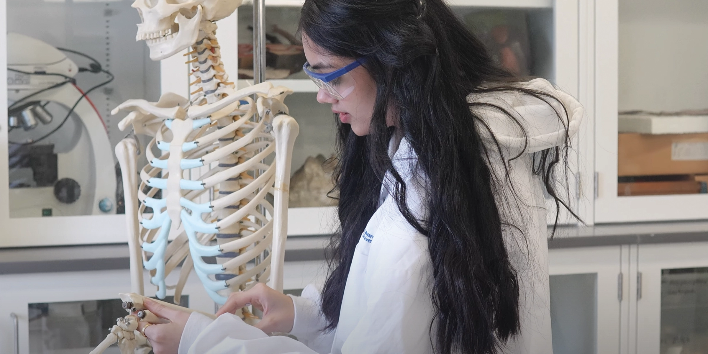 A student examining a skeleton.