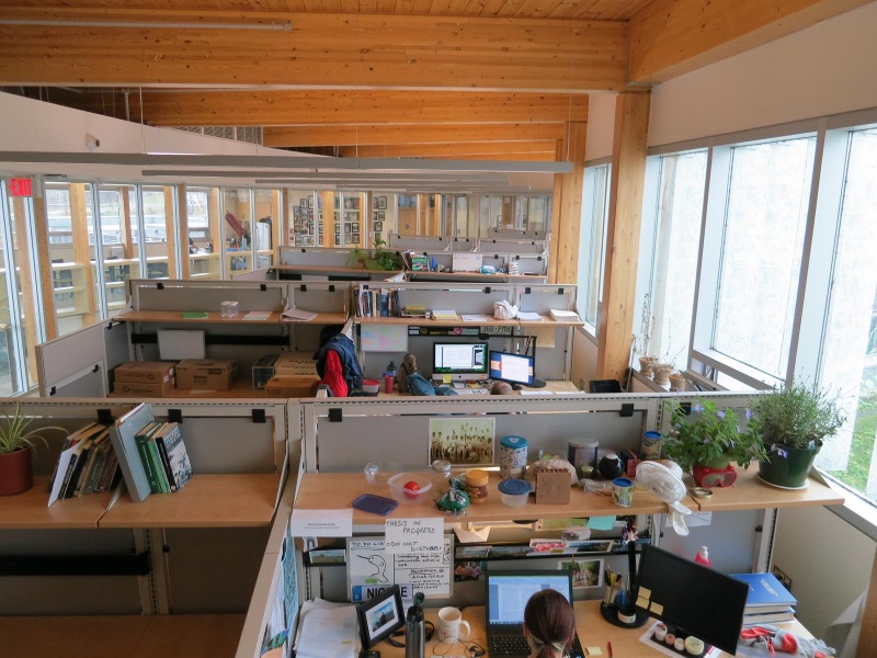 Cubicles with desks 