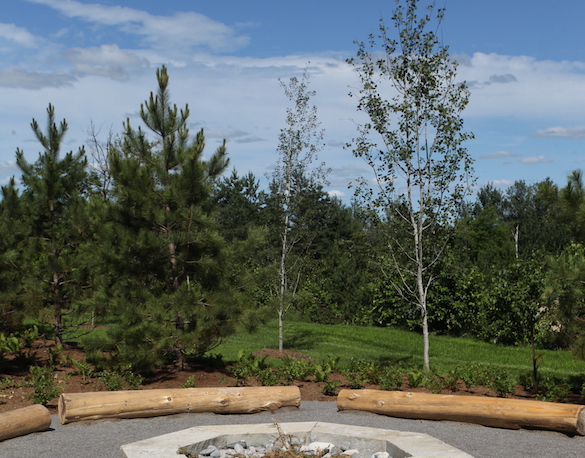 An outdoor view