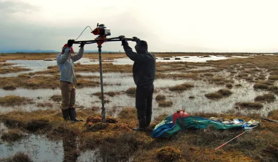 Two researchers in a field measuring permafrost.