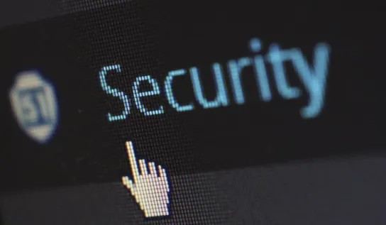 Online security portal