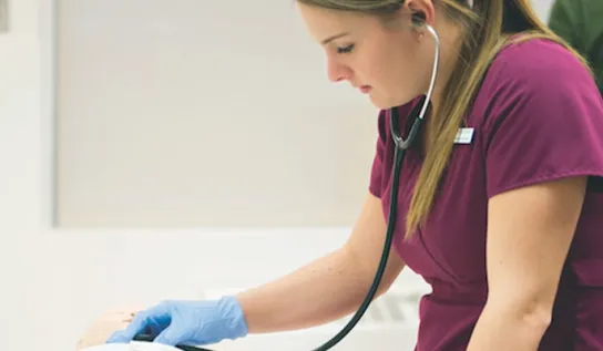a nurse uses a stethoscope 
