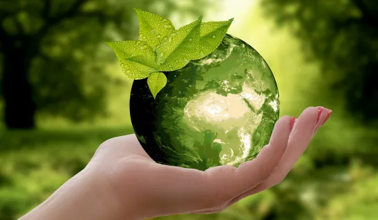 sustainable