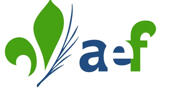 AEF logo