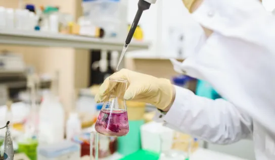 A student pipetting into erlenmeyer flask with purple liquid