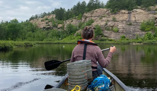 Person paddling in canoe