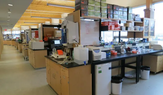 Living with lakes laboratory