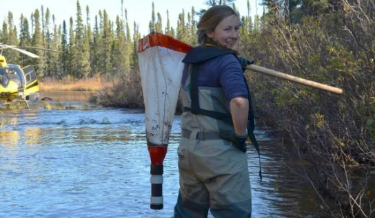 Biologist holding net standing in body of water near a helicopter