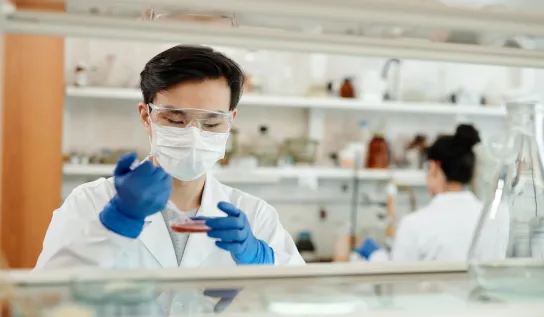 A student pipetting into a petri dish