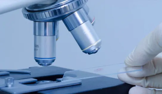 Close up of microscope lenses