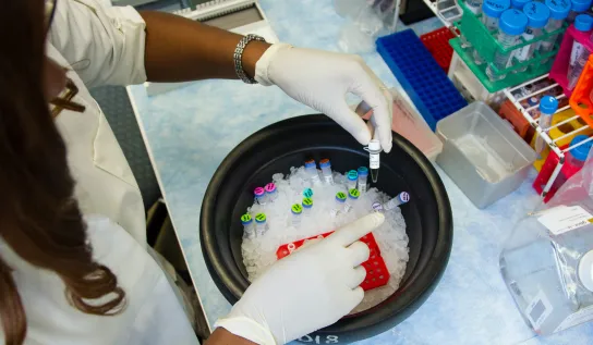 A student is placing tests tubes in an ice bath