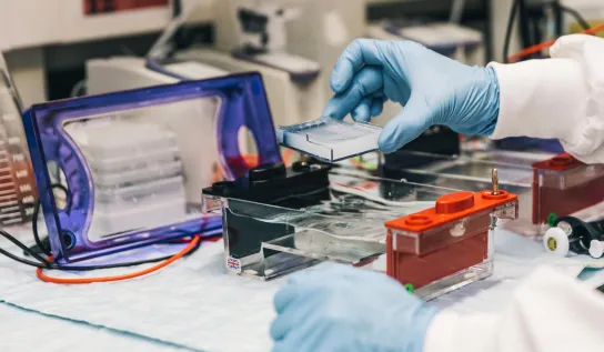 A student working with agar gel in a laboratory 