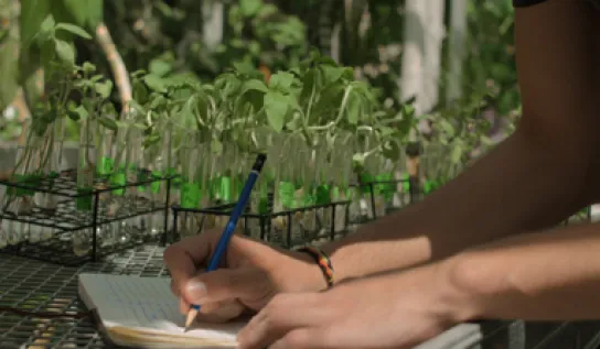 Someone writing a note with plants in the background
