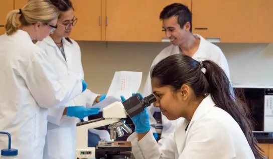 Three students reading a paper in the background while another student is using a microscope in the foreground 