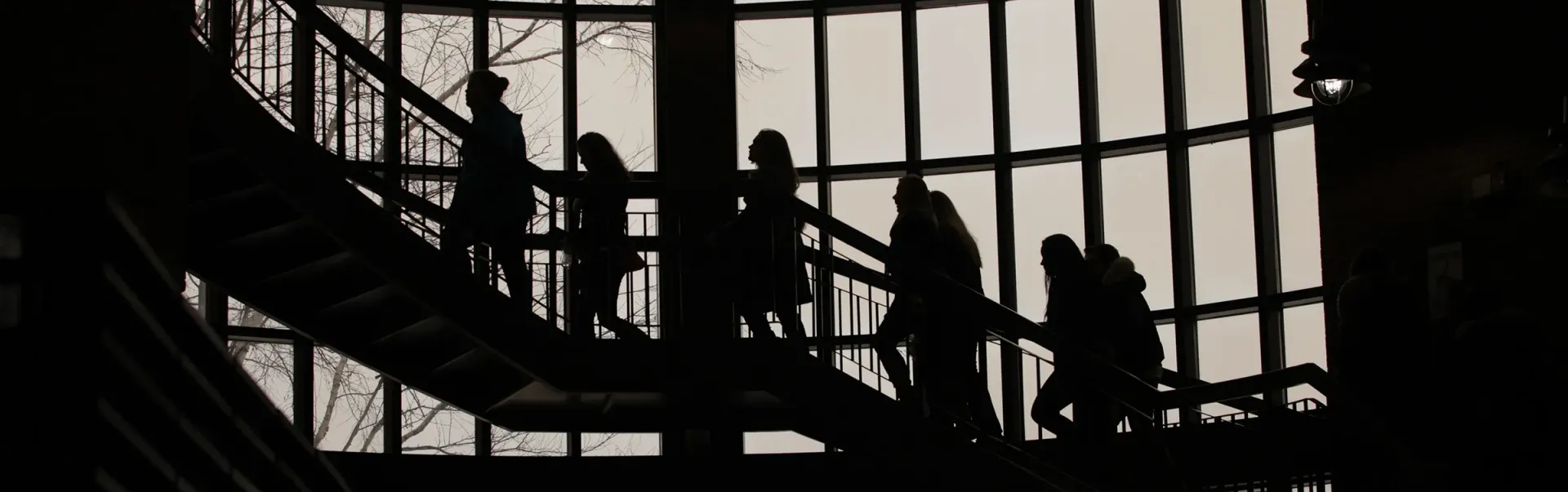 Students walking up the stairs toward the library.