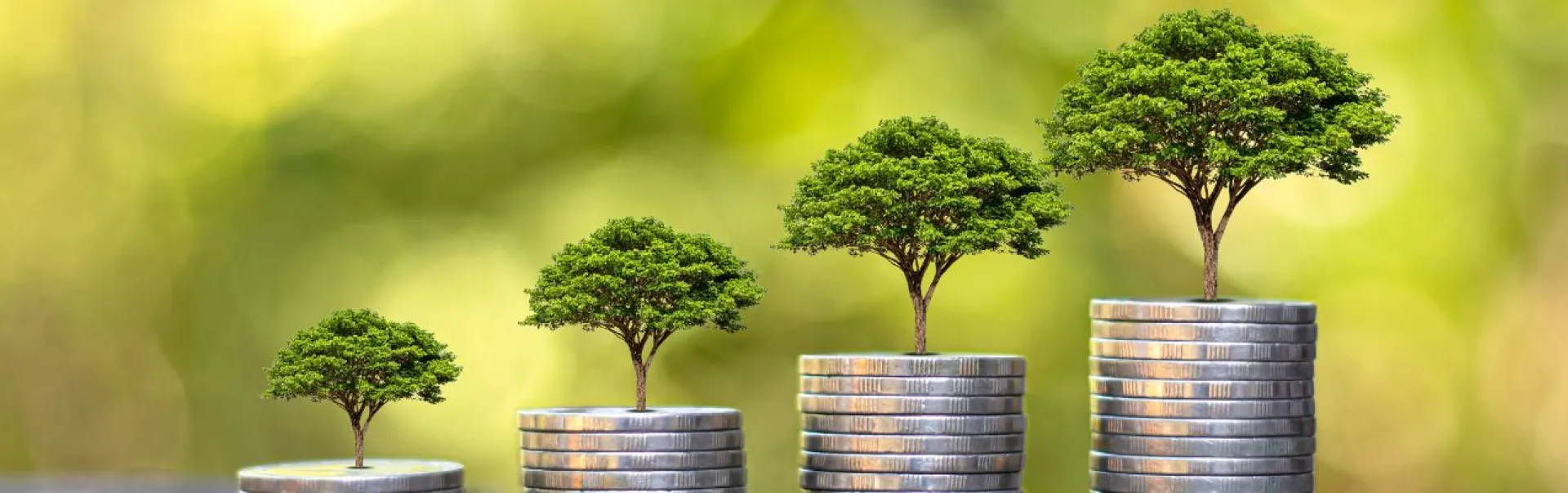 Trees stacked on coins
