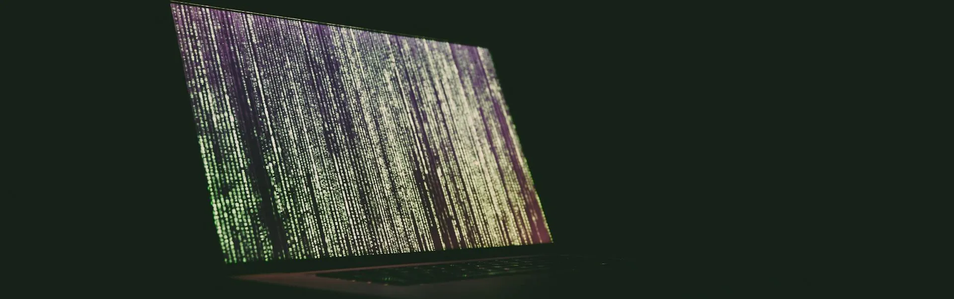 software license