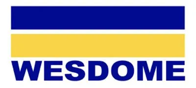 Wesdome Log