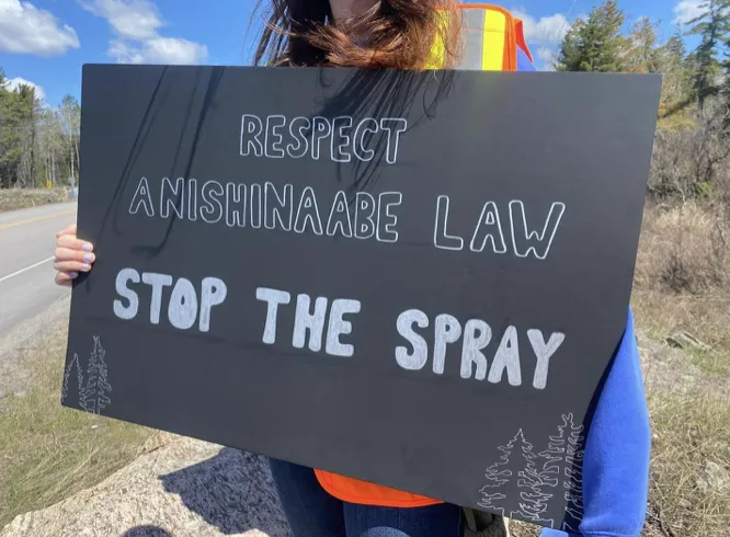 Masters Summer Research Coordinator and MSW student Kryslynn Mohan holds a black sign reading "RESPECT ANISHINAABE LAW - STOP THE SPRAY" at a public action led by the Robinson Huron Treaty of 1850 Traditional Ecological Knowledge Elders and supported by the research project on glyphosate spraying.