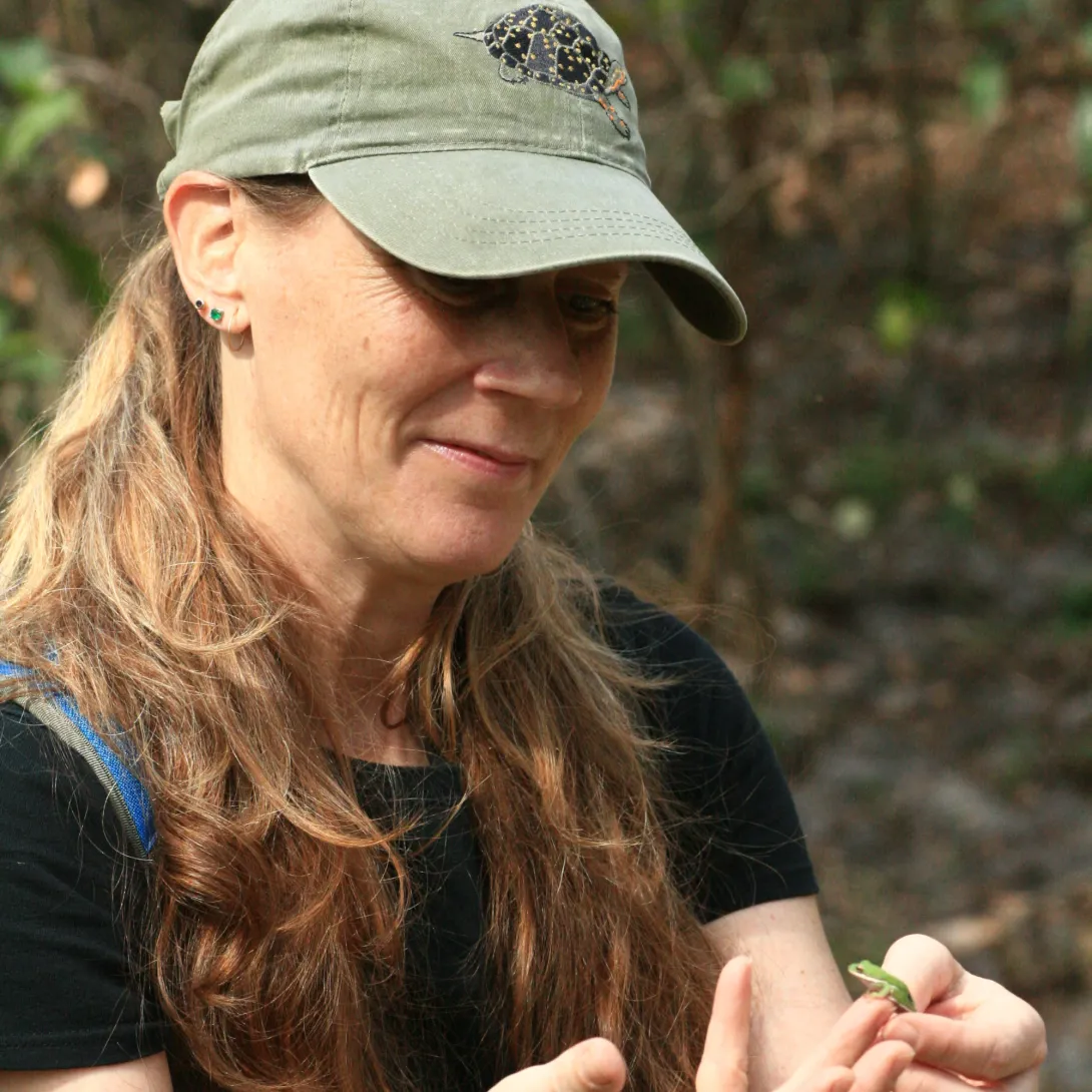 Dr. Jacqueline Litzgus holding a treefrog during field research. 