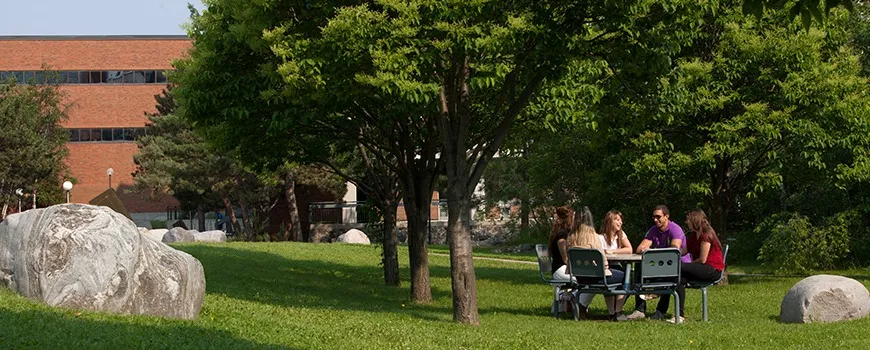 A group of people sitting at a table that is under a tree, while outside 